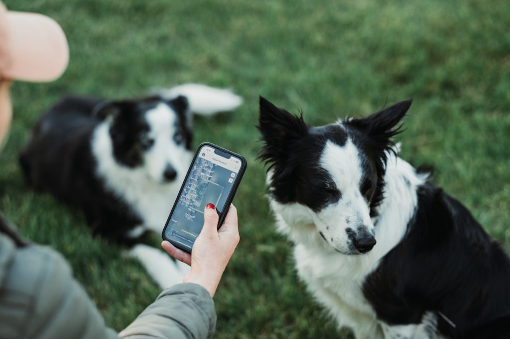 SpotOn Nova app showing GPS boundary accuracy
