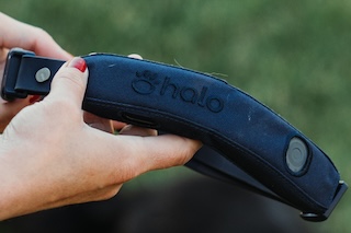 Halo Collar 5 in hand